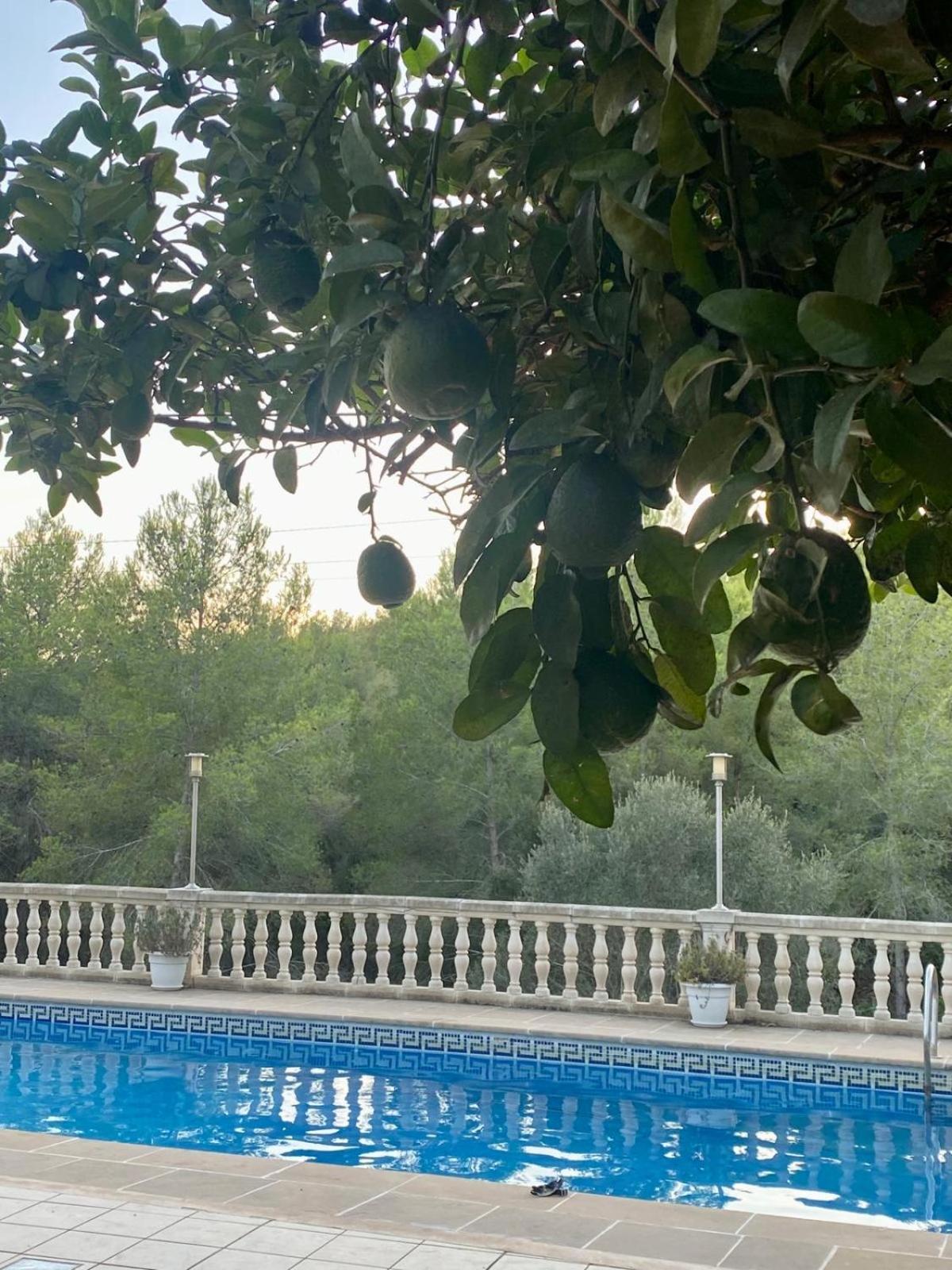 Willa La Casa Dels Boscos Tarragona Zewnętrze zdjęcie